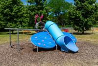 comune di prato farfalla