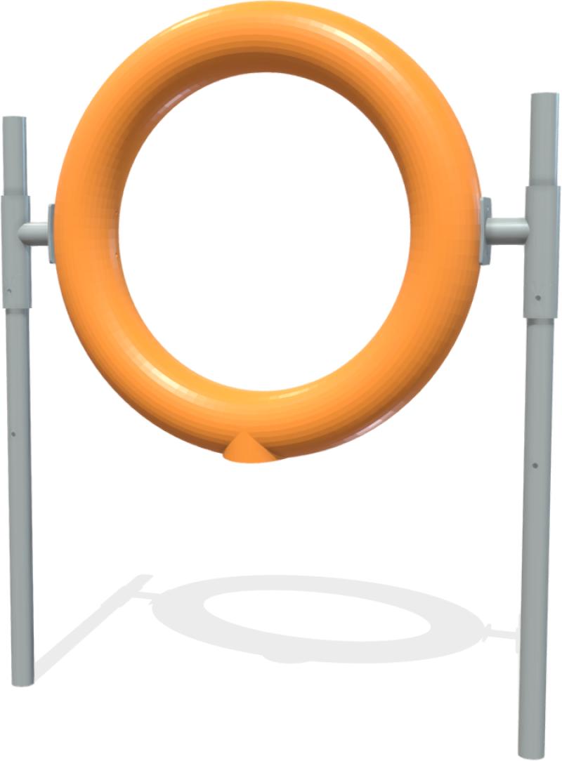 agility dog agility dog salto nel cerchio pa11