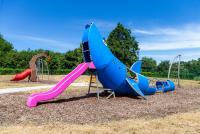 comune di prato squalo